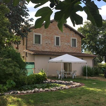 Fiordiloto Apartment Monsampolo Del Tronto Luaran gambar
