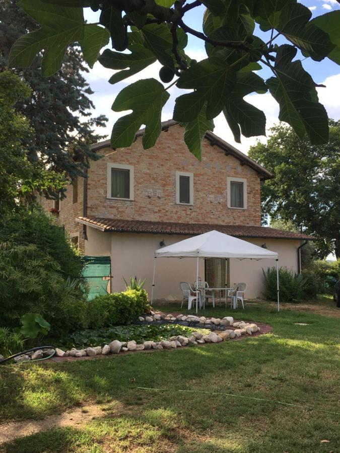 Fiordiloto Apartment Monsampolo Del Tronto Luaran gambar